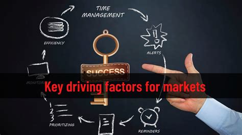 Key Factors Driving the Market