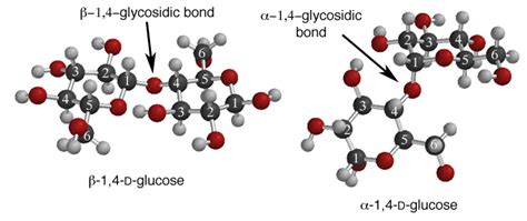 Key Features of Alpha Bonds: