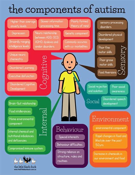 Key Features of Autism: