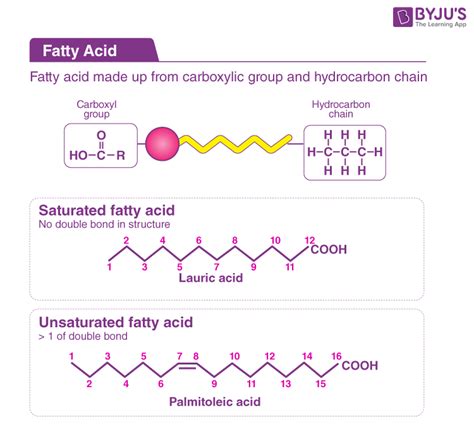 Key Features of EFA