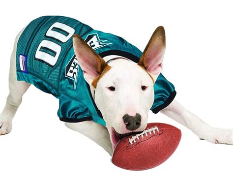 Key Features of Eagles Dog Jerseys