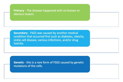 Key Features of FSCGX