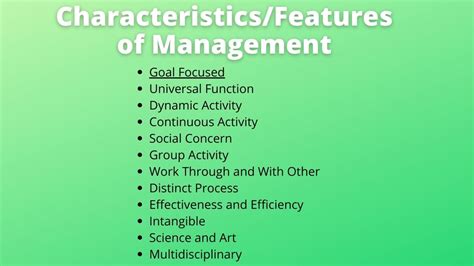 Key Features of MaeMegan