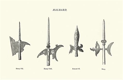 Key Features of the Halberd: