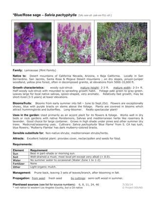 Key Fertilizer Requirements for Salvia