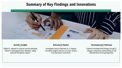 Key Findings and Innovation