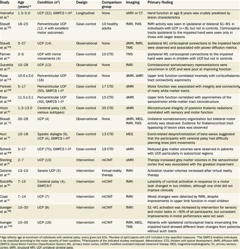 Key Findings from Neuroimaging Studies: