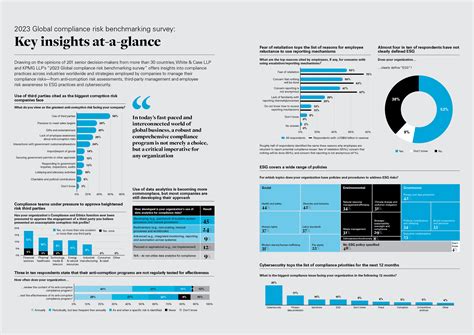 Key Insights at a Glance