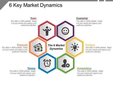 Key Market Dynamics: