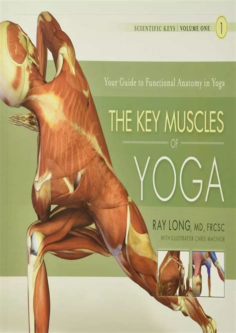 Key Muscles Yoga Scientific Keys Kindle Editon