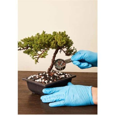 Key Nutrients for Bonsai Trees