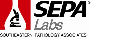 Key Offerings of Sepa Labs