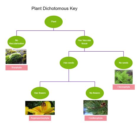 Key Plant Species: