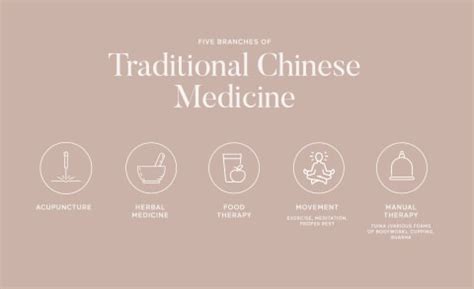 Key Principles of TCM: