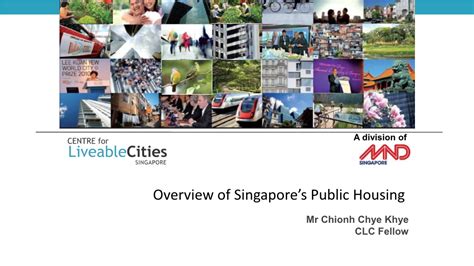 Key Statistics of Singapore Public Housing in 2021