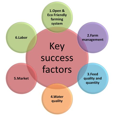 Key Success Factors