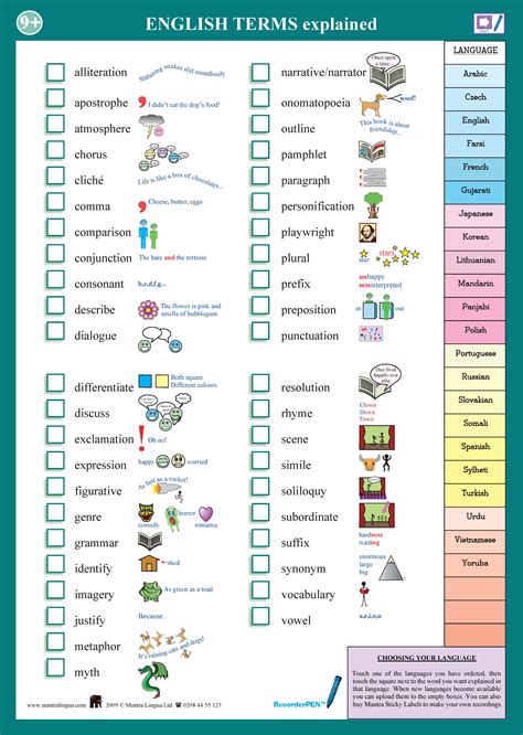 Key Terminology