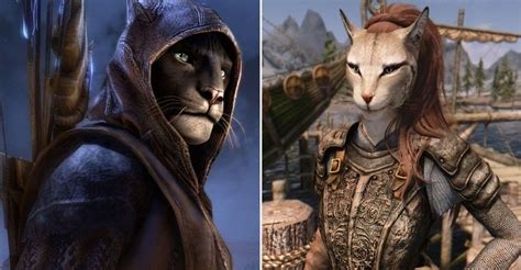 Khajiit ESO: The Ultimate Guide to the Feline Race of Tamriel