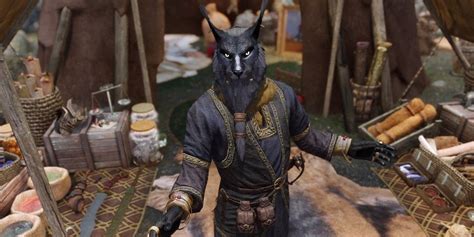 Khajiit Has Wares: A Treasure Trove for Adventurers