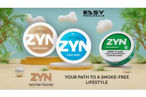 Kick the Habit with Zyn: Your Path to a Smoke-Free Future