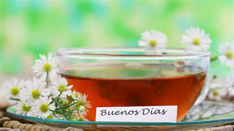 Kickstart Your Day with Buenis Dias: The Ultimate Guide to Excellence