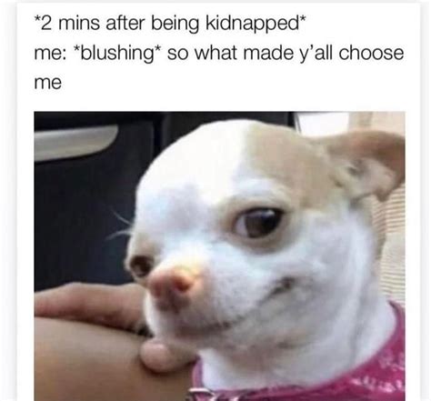 Kidnapped Meme: A Hilarious Way to Show Your Love and Concern