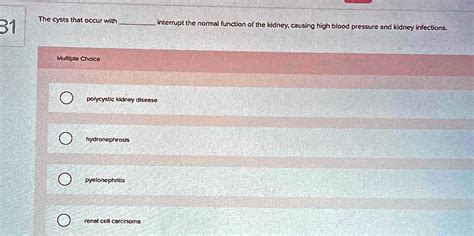 Kidney Function Multiple Choice Answer Doc