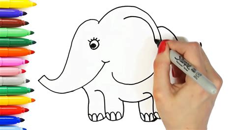 Kids Draw Animals Kindle Editon