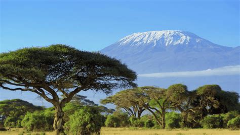 Kilimanjaro: A Comprehensive Guide to Africa's Majestic Peak