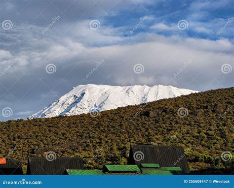 Kilimanjaro: The Roof of Africa Explored