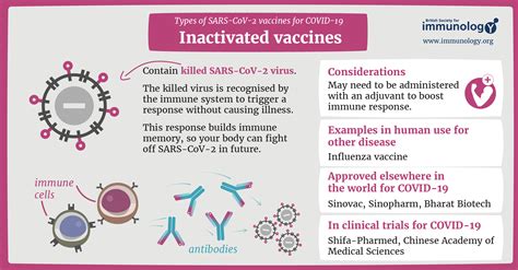 Killed Virus Vaccines: