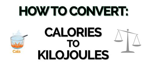 Kilojoules and Calories: The Essential Guide to Energy Intake