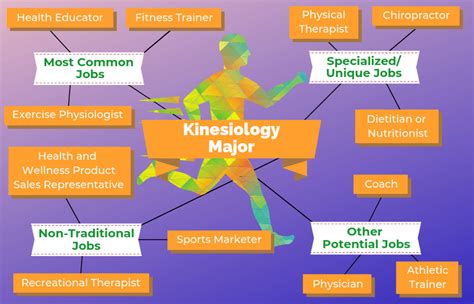 Kinesiology Career Paths