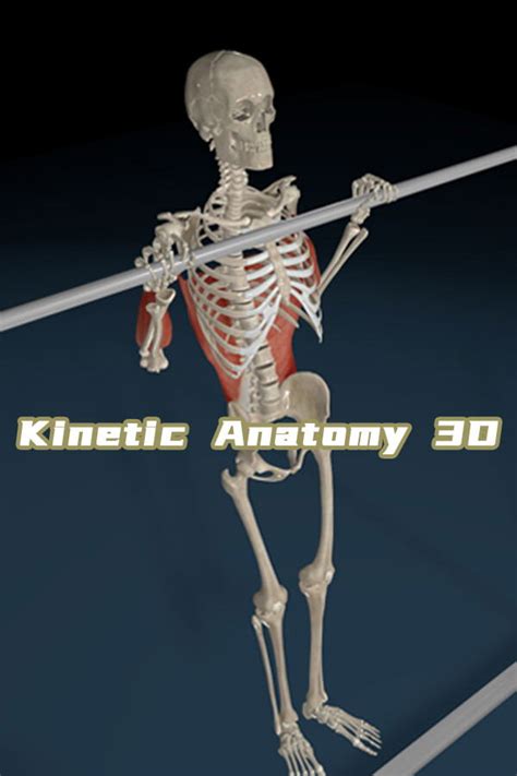 Kinetic Anatomy Epub