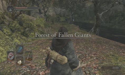 King's Door in Forest of Fallen Giants