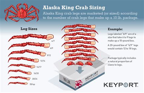 King Crab Sizing Chart