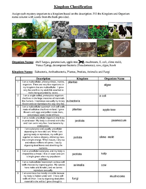 Kingdom Classification Worksheet Answer Key Epub