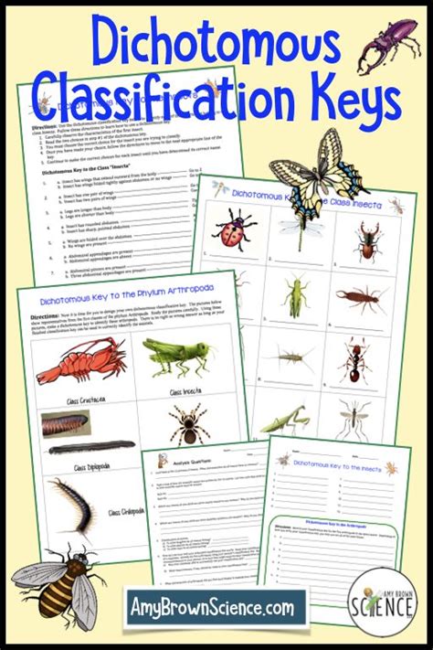 Kingdom Dichotomous Key Activity Answers Doc