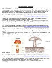 Kingdom Fungi Webquest Answer Key Epub