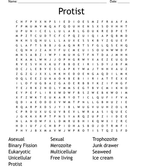 Kingdom Protista Wordsearch Answers Reader