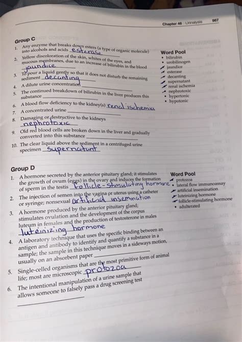 Kinns Chapter 2 Answer Key Doc