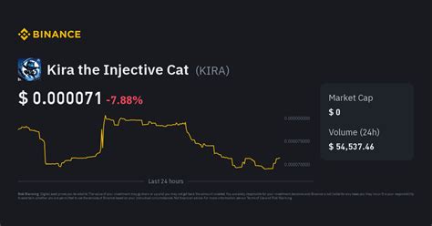 Kira the Injective Cat: The Feline Revolutionizing Cryptocurrencies