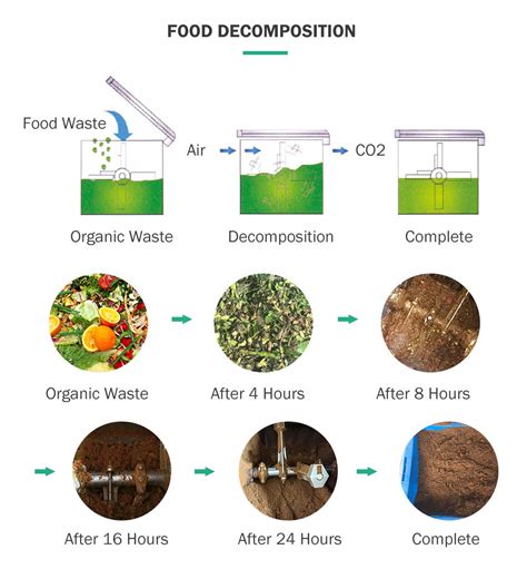 Kitchen Waste Fertilizer Machine: Your 5-in-1 Solution for Home Composting