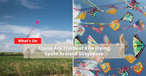 Kite Flying Singapore: A 10,000-Foot Guide to Soaring High!