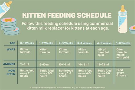 Kitten Bottle Feeding Chart