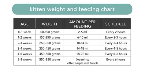 Kitten Feeding Chart By Weight