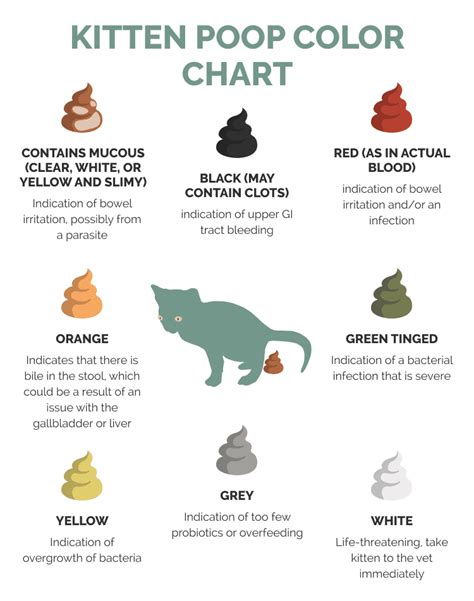 Kitten Poop Color Chart