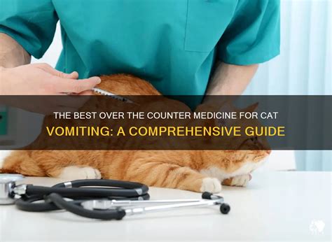 Kitten Vomiting: A Comprehensive Guide to Causes, Symptoms, Treatment, and Prevention