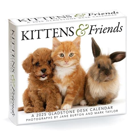 Kittens and Friends 2017 Calendar Russian Language Russian Edition Reader