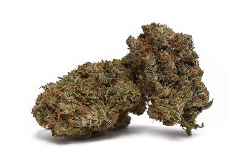 Kitty Kushman: A Comprehensive Guide to the Potent Indica Strain